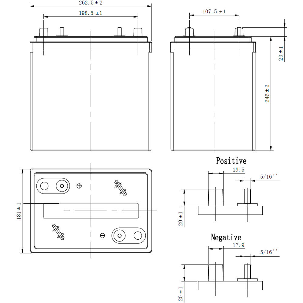 EVGC6-220A-AM Vision Battery - Image 3
